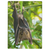 こうもり クリップボード (裏面)