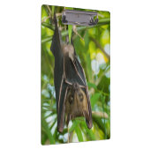 こうもり クリップボード (右)