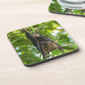 こうもり コースター (左側)