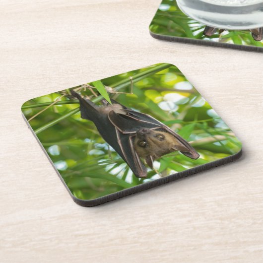 こうもり コースター (左側)