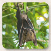 こうもり コースター (正面)