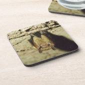 こうもり コースター (左側)