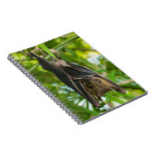 こうもり ノートブック (右側)