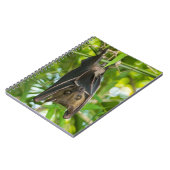 こうもり ノートブック (左側)