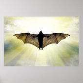 こうもり ポスター (正面)