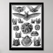 こうもり! ポスター (正面)