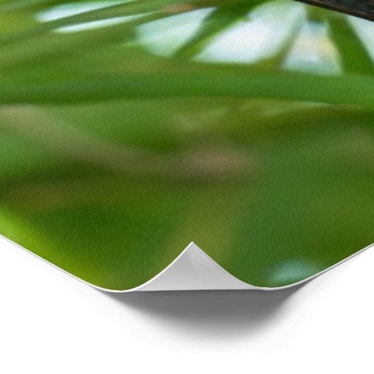 こうもり ポスター (角)