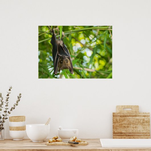 こうもり ポスター (キッチン)