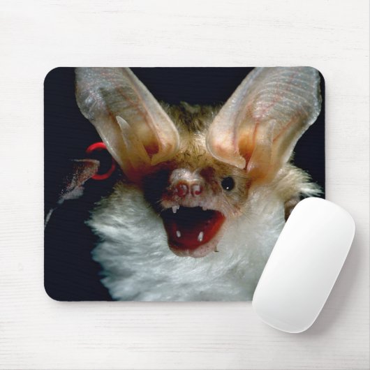 こうもり マウスパッド (マウス)