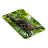 こうもり マグネット (右側)