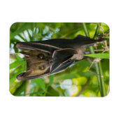 こうもり マグネット (横)