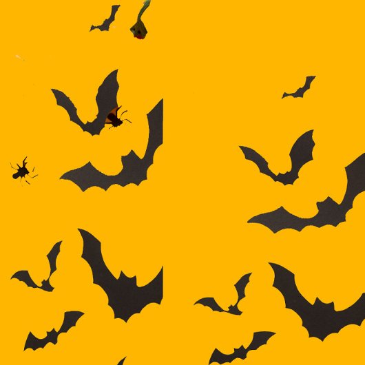 こうもり レギンス