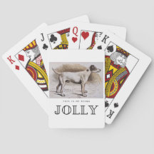 こおもしろいれは私だすてきこの犬は狩り