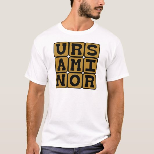 こぐま座 Tシャツ (正面)
