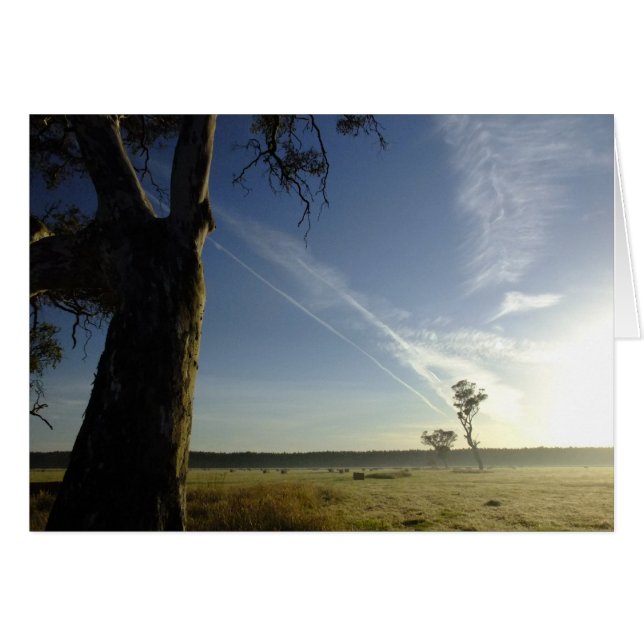 ここからそこにに (正面横)