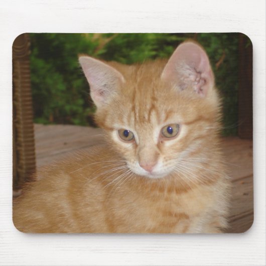 ここでは、Mousey、Mousey! マウスパッド (正面)