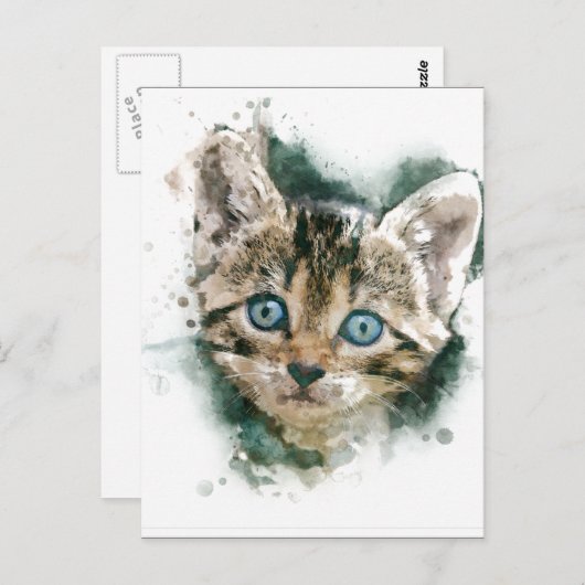 ここで子猫子猫...美しい水絵画色 ポストカード (正面/裏面)