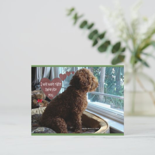 ここで待つ | ブルービーチソング™はがき ポストカード (スタンド正面)