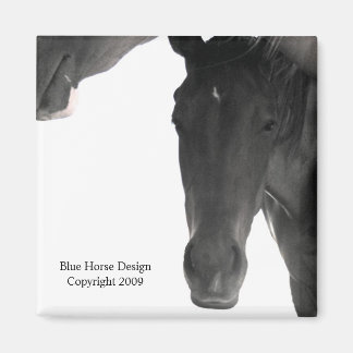 ここで眠ろうとしている マグネット