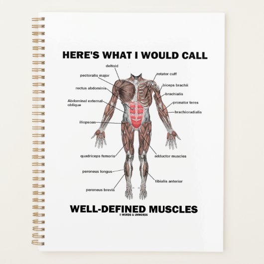 ここで私がよく定義された筋肉と呼ぶのは プランナー手帳 (正面)