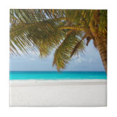 ここにいたら！ タイル (正面)