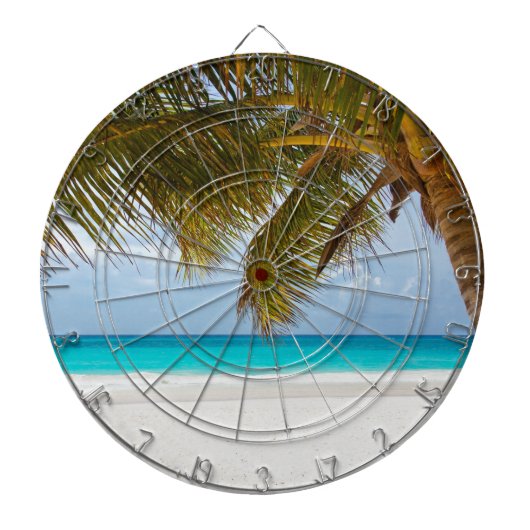 ここにいたら！ ダーツボード (正面)