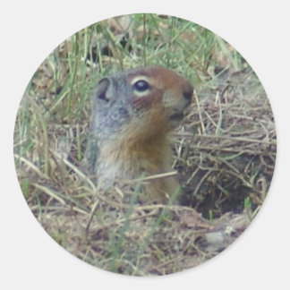 ここにいる ラウンドシール