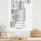 ここにいる（地質時代地球の歴史） ポスター (キッチン)