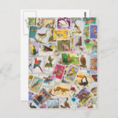 ここにスタンプを貼ってください ポストカード (正面/裏面)