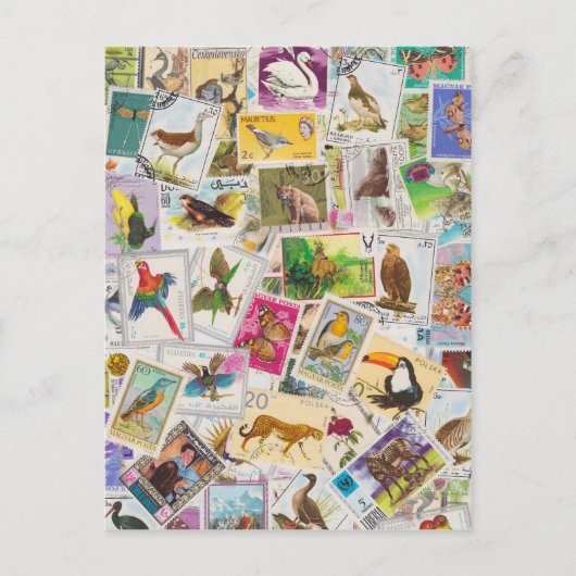 ここにスタンプを貼ってください ポストカード (正面)