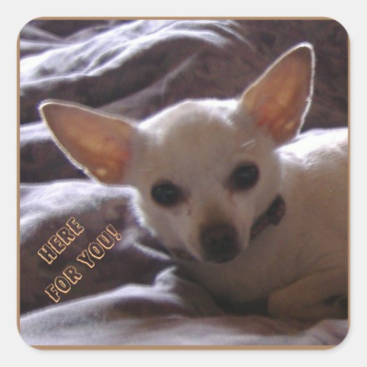 ここにステッカーを スクエアシール (正面)