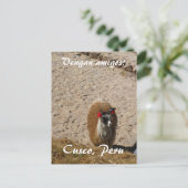 ここにラマのラマ ポストカード (スタンド正面)