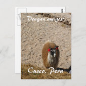 ここにラマのラマ ポストカード (正面/裏面)