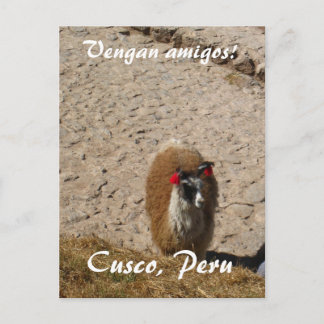 ここにラマのラマ ポストカード