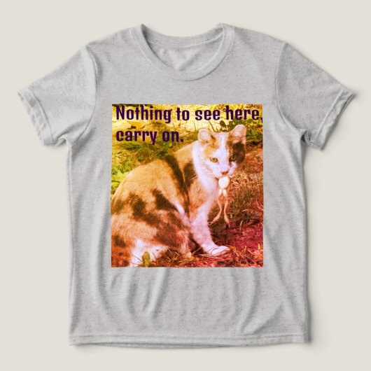 ここに何も見えない トライブレンドＴシャツ (デザイン正面)