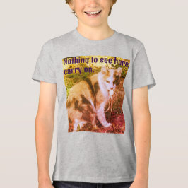 ここに何も見えない トライブレンドＴシャツ