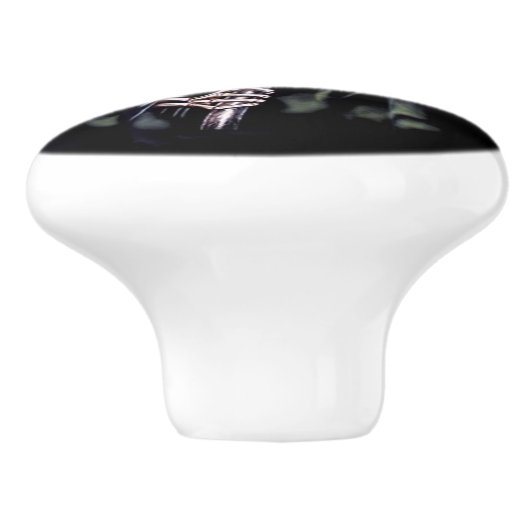 ここに厳格来ます セラミックノブ (側面)