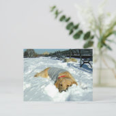 ここに居てもいい？ ポストカード (スタンド正面)