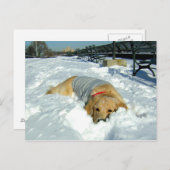 ここに居てもいい？ ポストカード (正面/裏面)