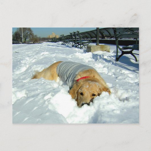 ここに居てもいい？ ポストカード (正面)