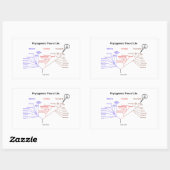 ここに生命の系統樹(生物学) 長方形シール (シート)