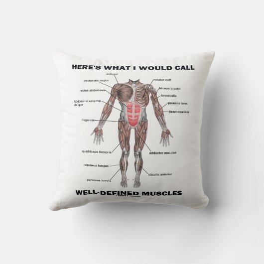 ここに私が明示されている筋肉と呼ぶことがあります クッション (裏面)