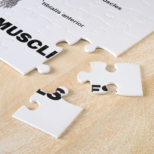 ここに私が明示されている筋肉と呼ぶことがあります ジグソーパズル (側面)