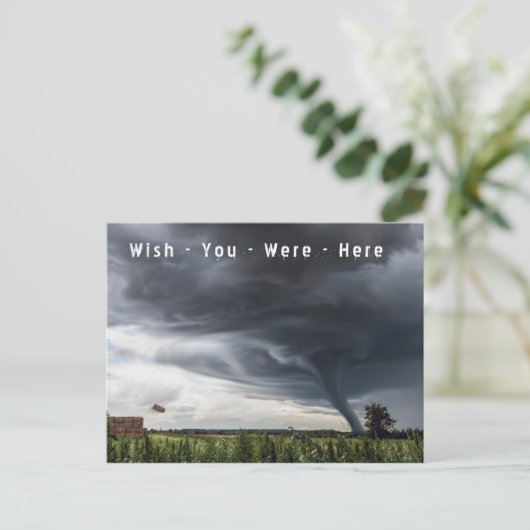 ここに竜巻の休日のはがきがあれば シーズンポストカード (スタンド正面)