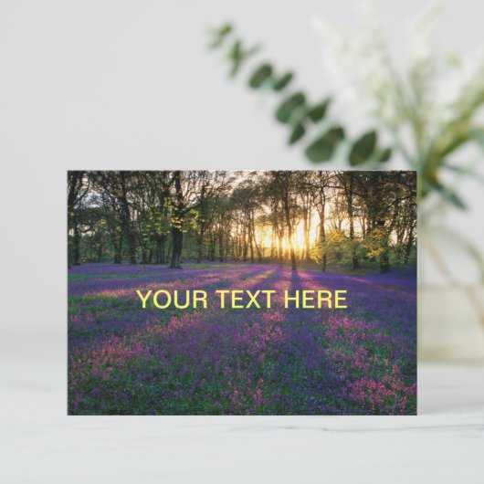 ここに表示する名刺 (スタンド正面)