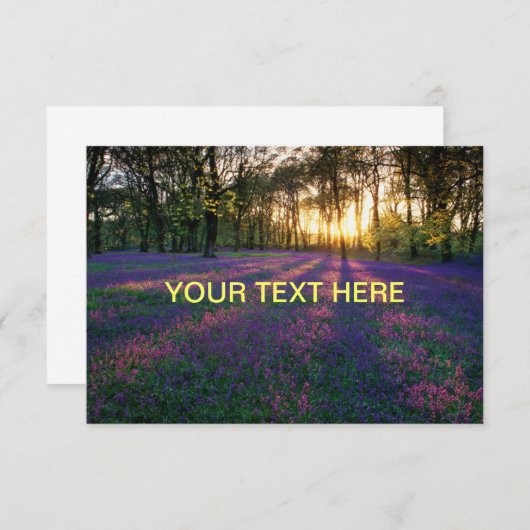 ここに表示する名刺 (正面/裏面)