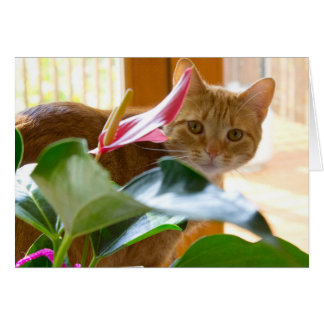 ここに見ています