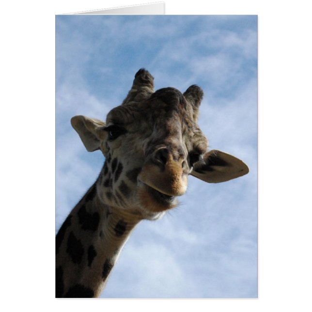 ここに見ています! (正面)