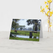 ここに見ています カード (黄色い花)