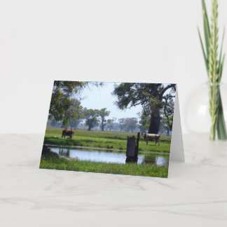 ここに見ています カード